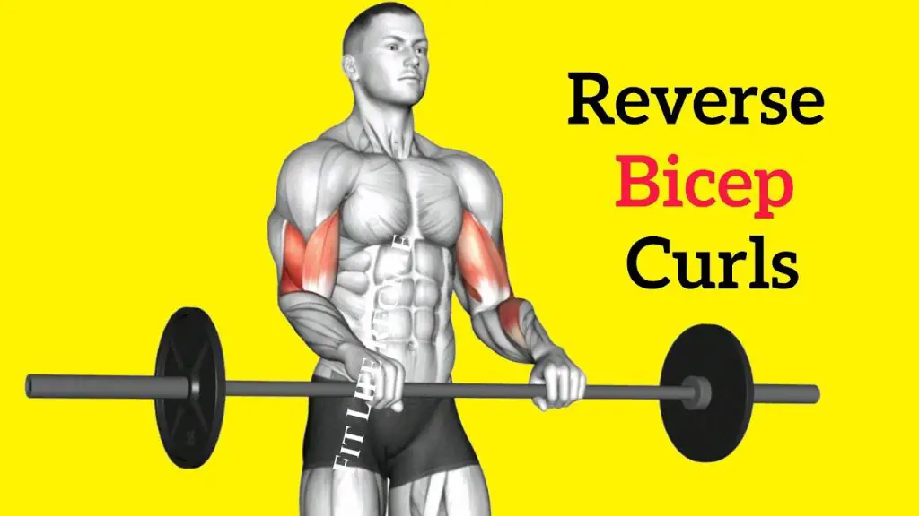 Reverse Bicep Curls: Enhancing Grip and Forearm Strength